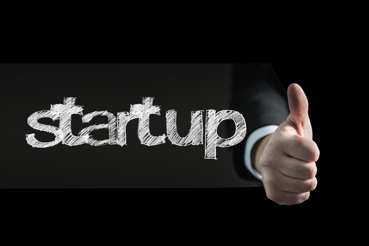 developpement web pour startup