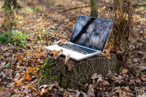 développeurs roumains en télétravail